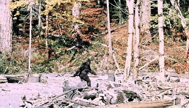 dalia ayoubi like bigfoot with tits photo deborah ruck recommends bigfoot with tits pic