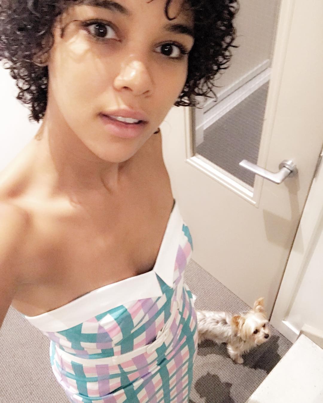 alexandra shipp nude - housewife kelly video vanessa blue the pornstar