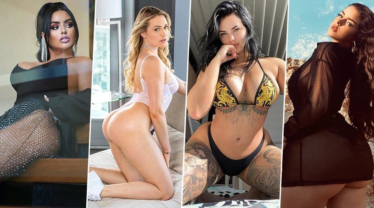 barry james graham recommends Renee Rose Onlyfans