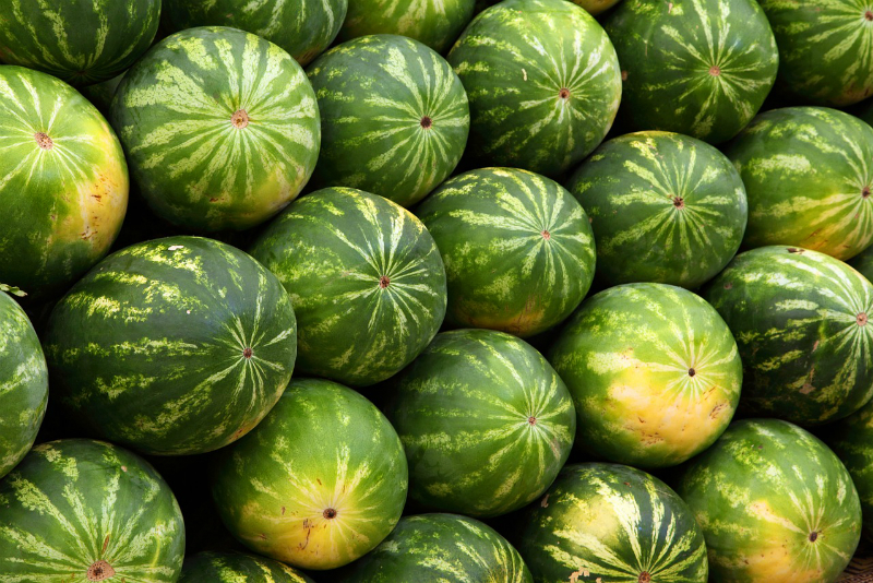Best of lucy li solo brent hensley share melon tits photos