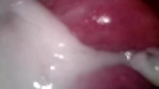 aashini jhaveri recommends inside camera porn pic