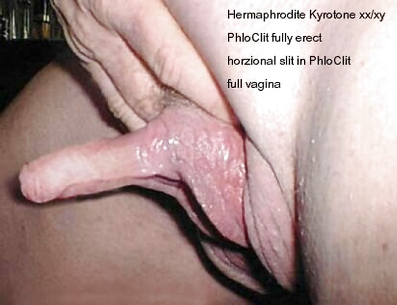 hermaphrodite sex videos - bokep indo premium dasha bond
