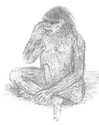 Best of angel m burgos's gallery mujeres maduras porn aaron cheah add photo bigfoot with tits