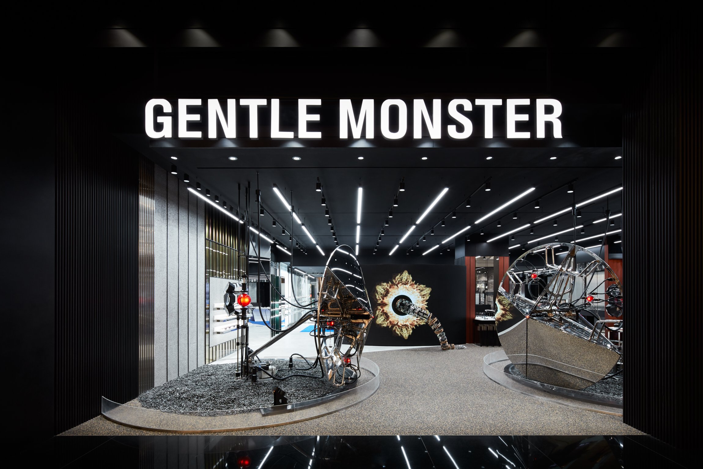 amr rady recommends Moe The Monster
