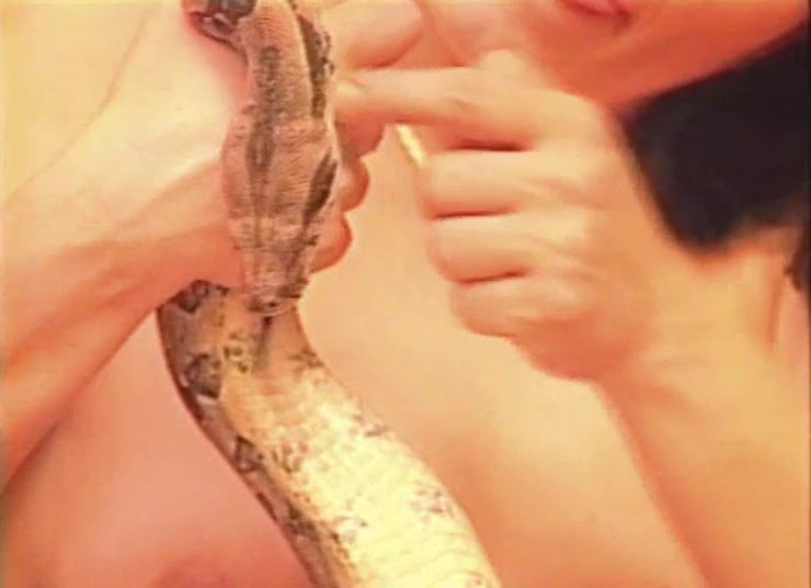 porn snakes - aletta ocean feet ebony anal doggystyle
