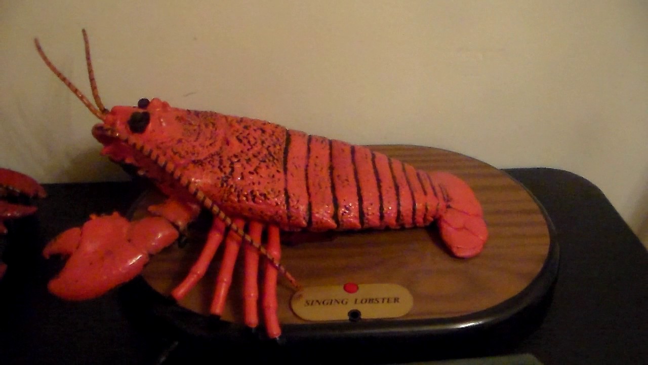 lobstwr tu e - martina smirh annie cruz solo