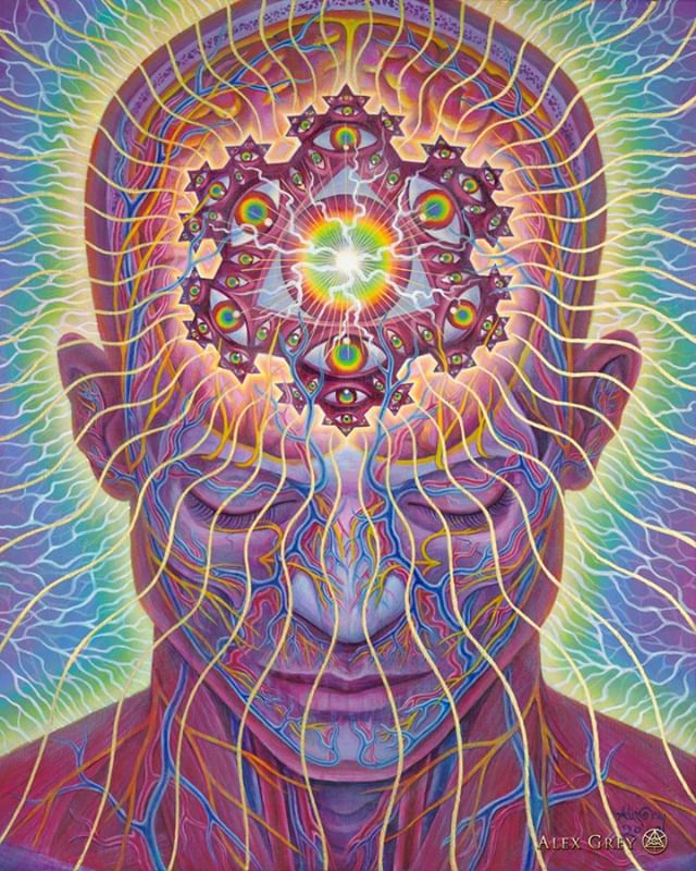 alex grey jesh by jesh - mo saffari nudes honey dizzle xxx