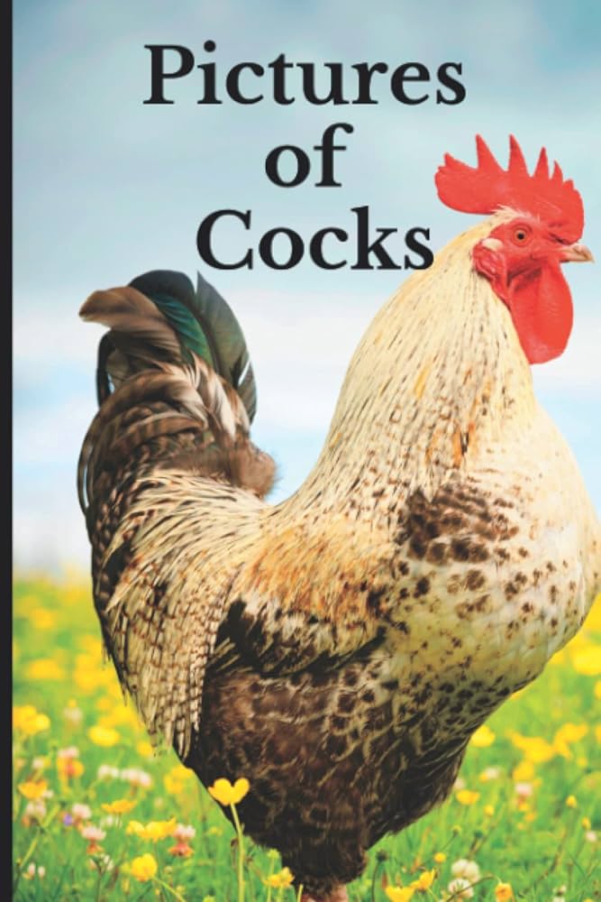 Best of The gift of cock 2