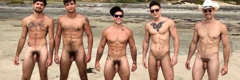 david reibstein share masturbator tumblr