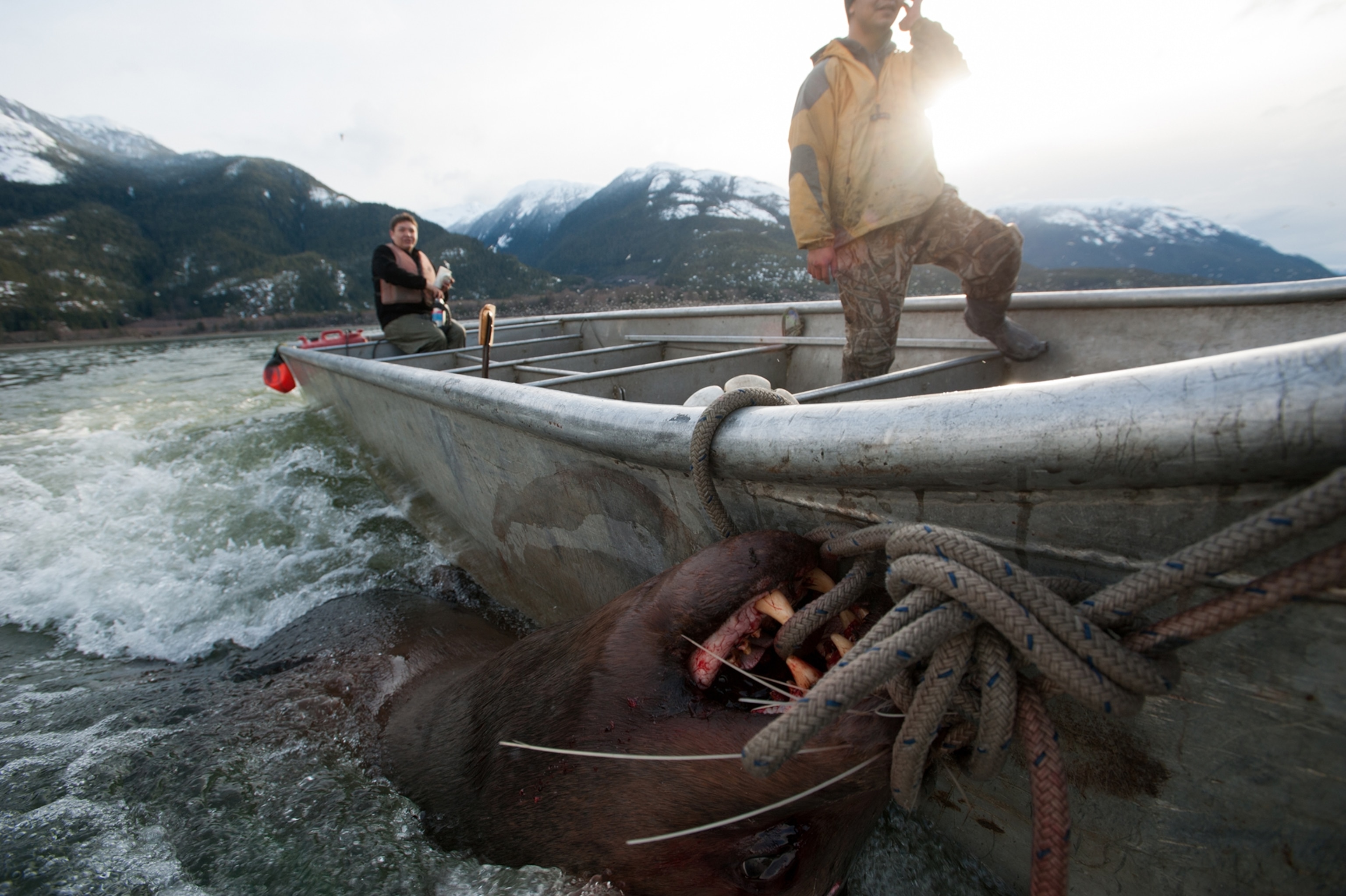 abi matthews recommends Dreamy Bull Fishing Video