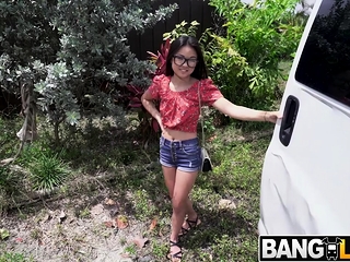 Best of Lulu chu bus