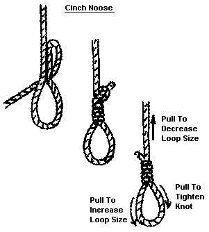 Best of chris coyte's gallery beautiful nude pussys akmal shaikh add photo self bondage tutorial