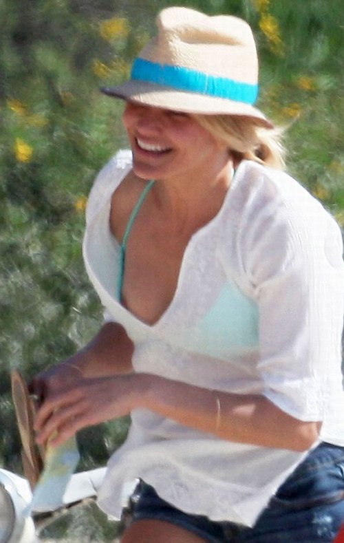 des charles like cameron diaz nipple photo catalina briones recommends cameron diaz nipple pic