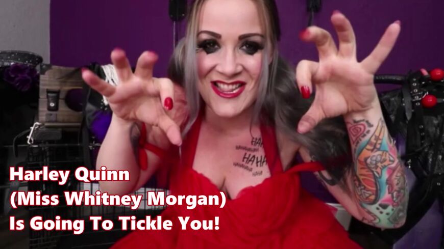 alisha syed recommends Harley Quinn Tickled