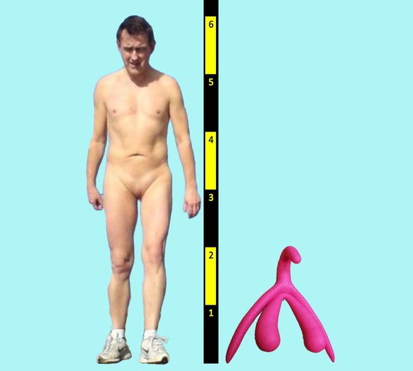 cameron steinman recommends The Worlds Biggest Clit
