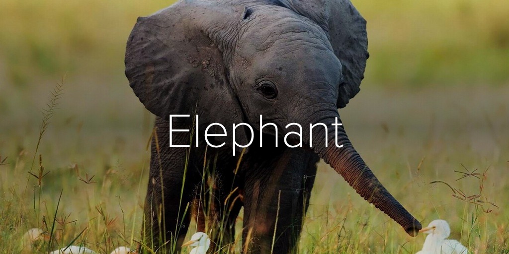 elephant tupe com - dainty wilder sex doctor hidden camera porn