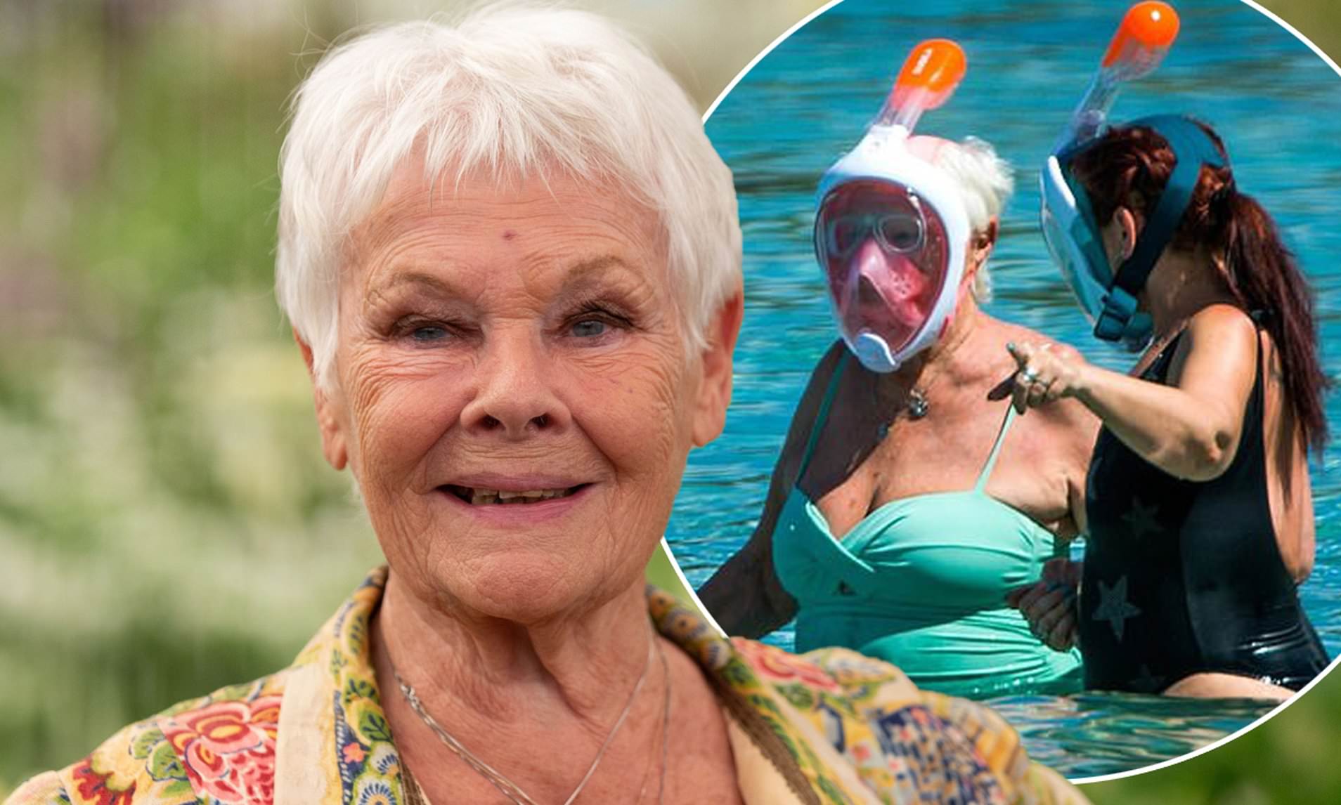 anita turnbull recommends judi dench nude pic