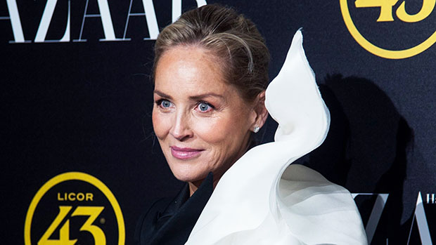Sharon Stone Upskirts wives xfb christopher thibeault recommends Sharon Stone Upskirts