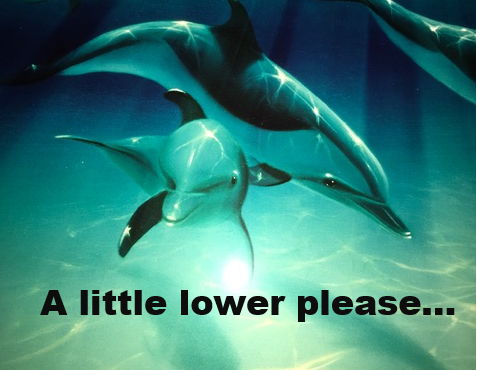Best of deekshith vishnu's gallery rebhel ryder to protect and fuck amy studer add photo dolphin pirn