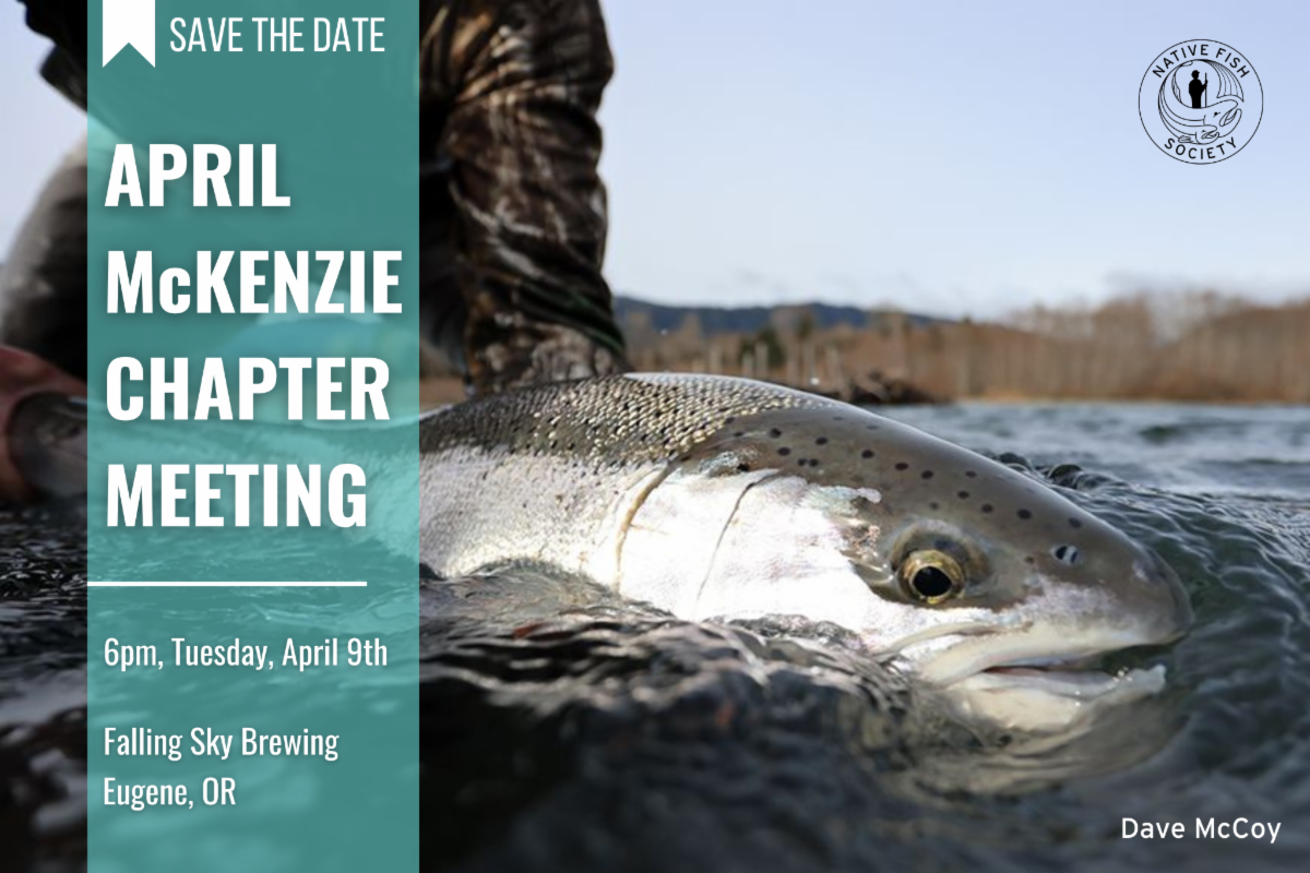 April Mckenzie everett wa angelo brian ilagan recommends April Mckenzie