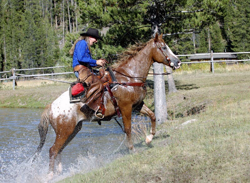 amanda ridge recommends wet cowgirl anuar hasan add wet cowgirl photo