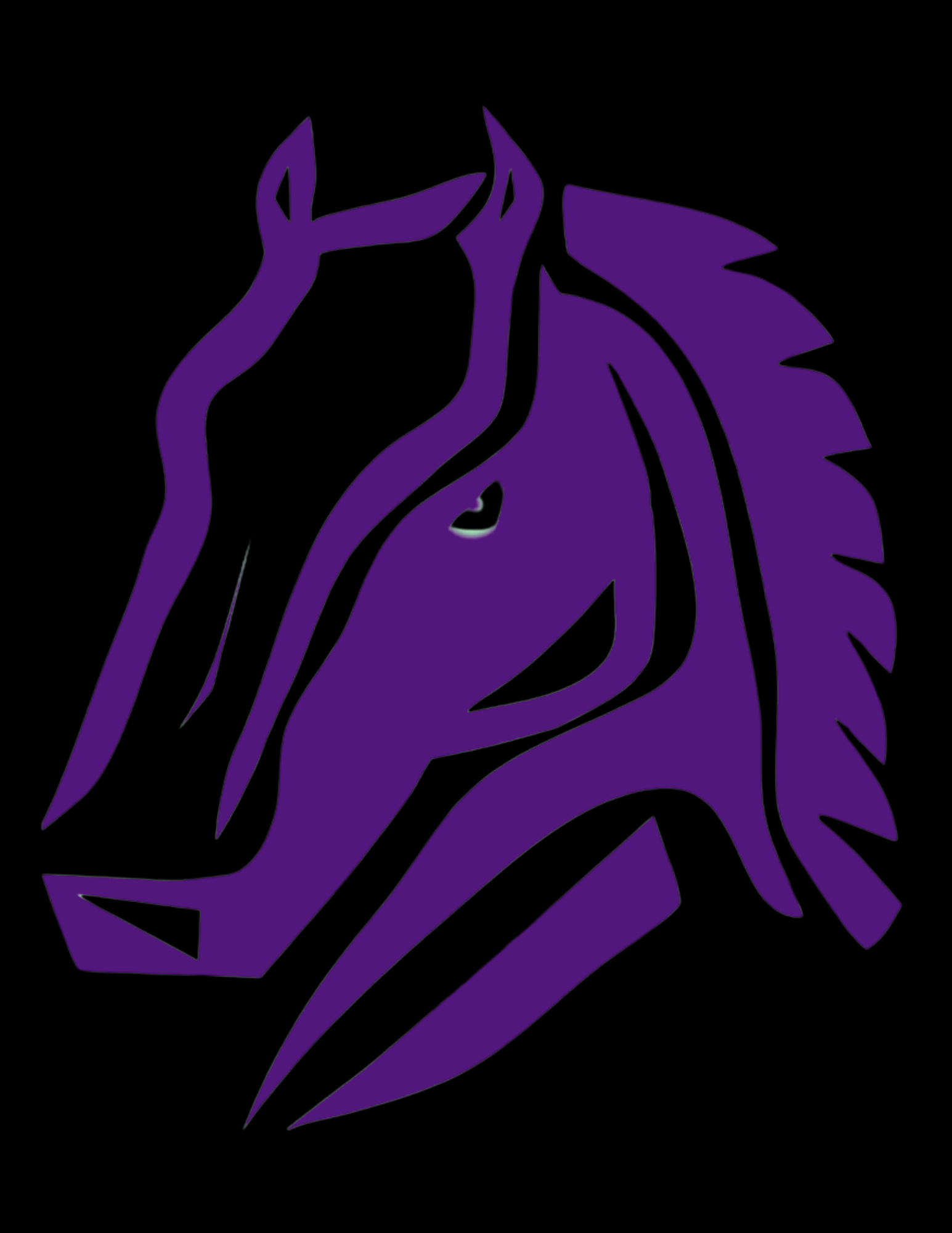 Best of Leather stallion saloon