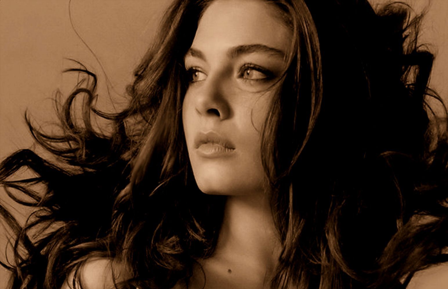 chad mcmurry like alexa davalos hot photo ashley journeay recommends alexa davalos hot pic