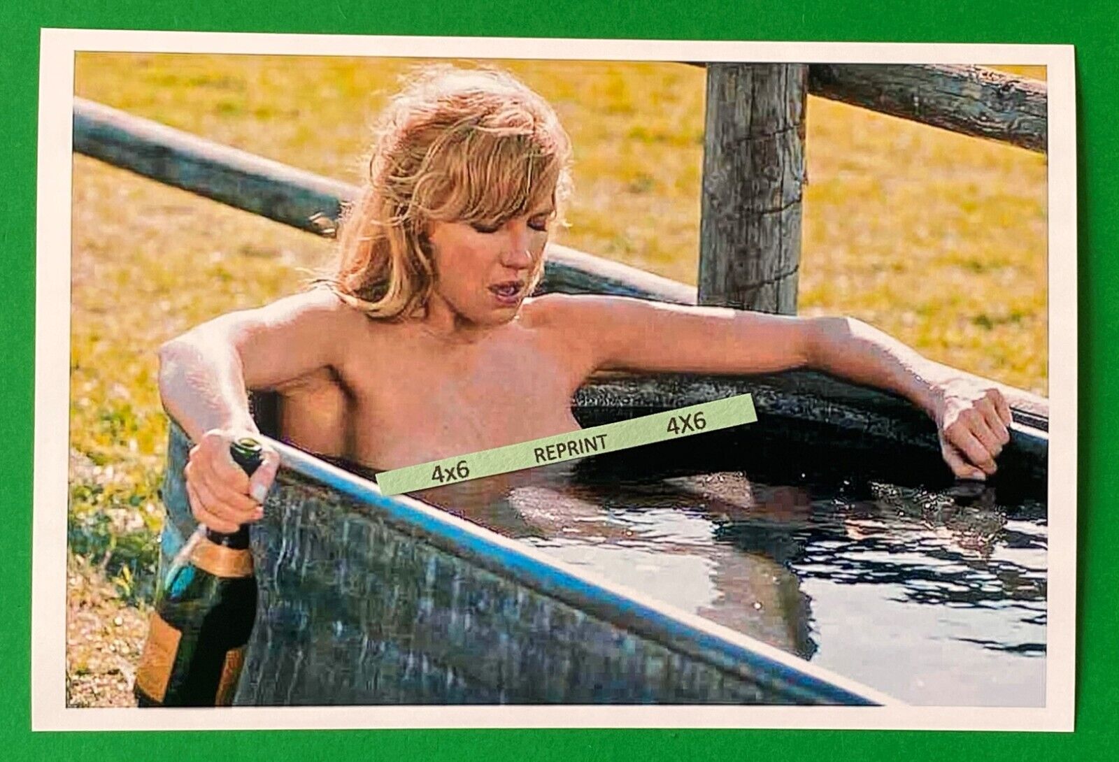 Best of Beth dutton hot