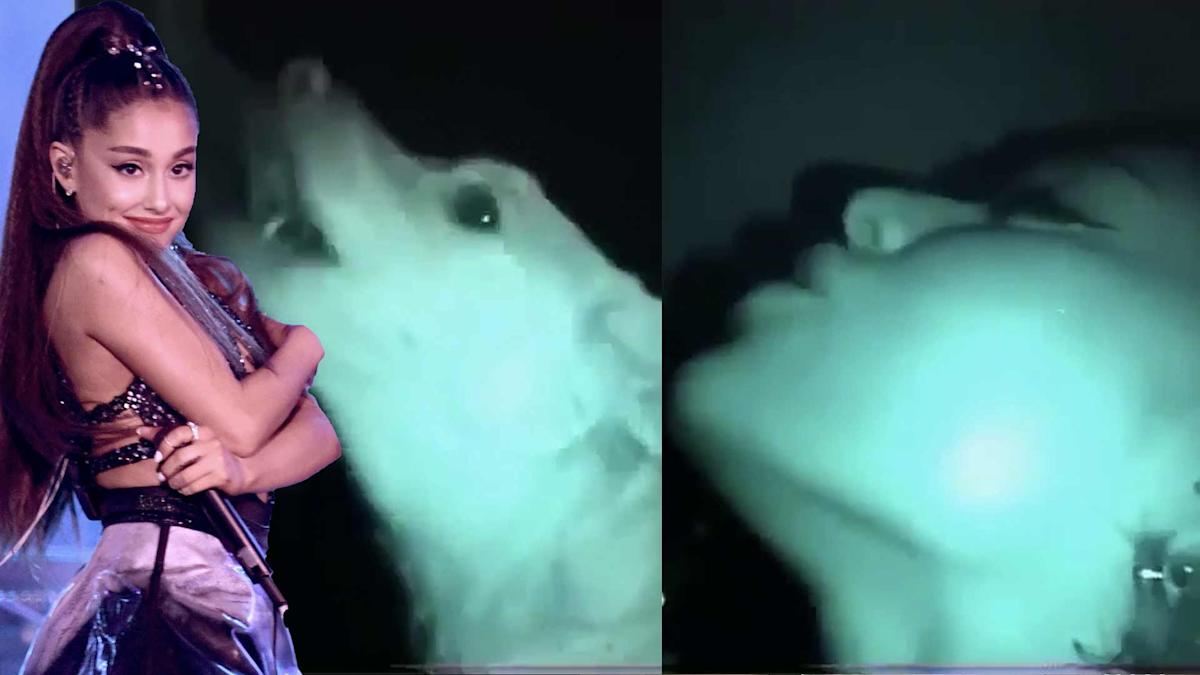 daniel mcgary recommends ariana grande sextape pic