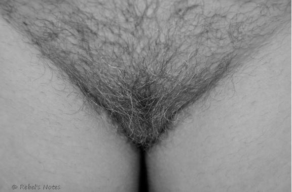 alex colton like full bush pussies photo cobus van niekerk recommends full bush pussies pic