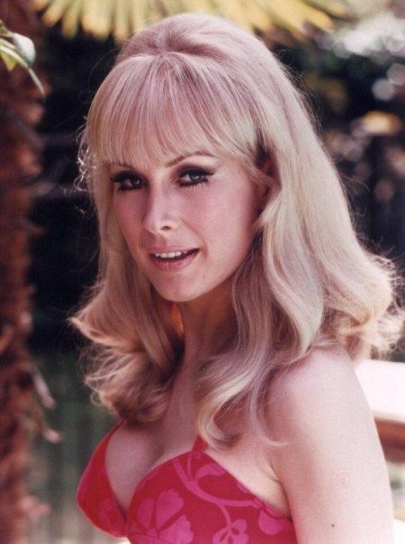 donald goodlin like barbara eden nude photo cathy farraher recommends barbara eden nude pic