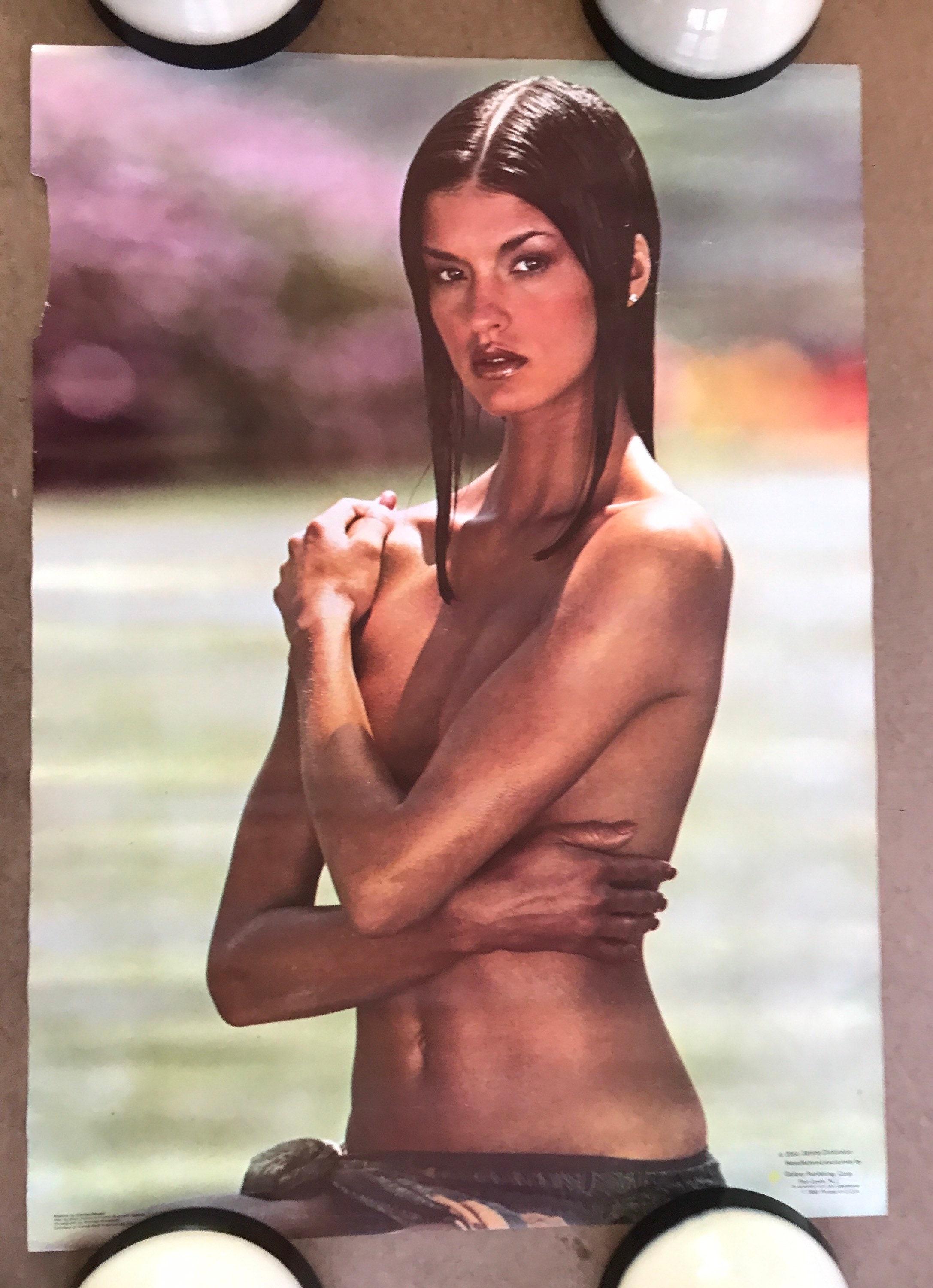 debbie strohm like janice dickinson nude photo andy bermudez recommends janice dickinson nude pic