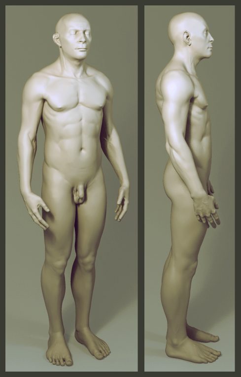 cathy ahearn recommends average nude male pic