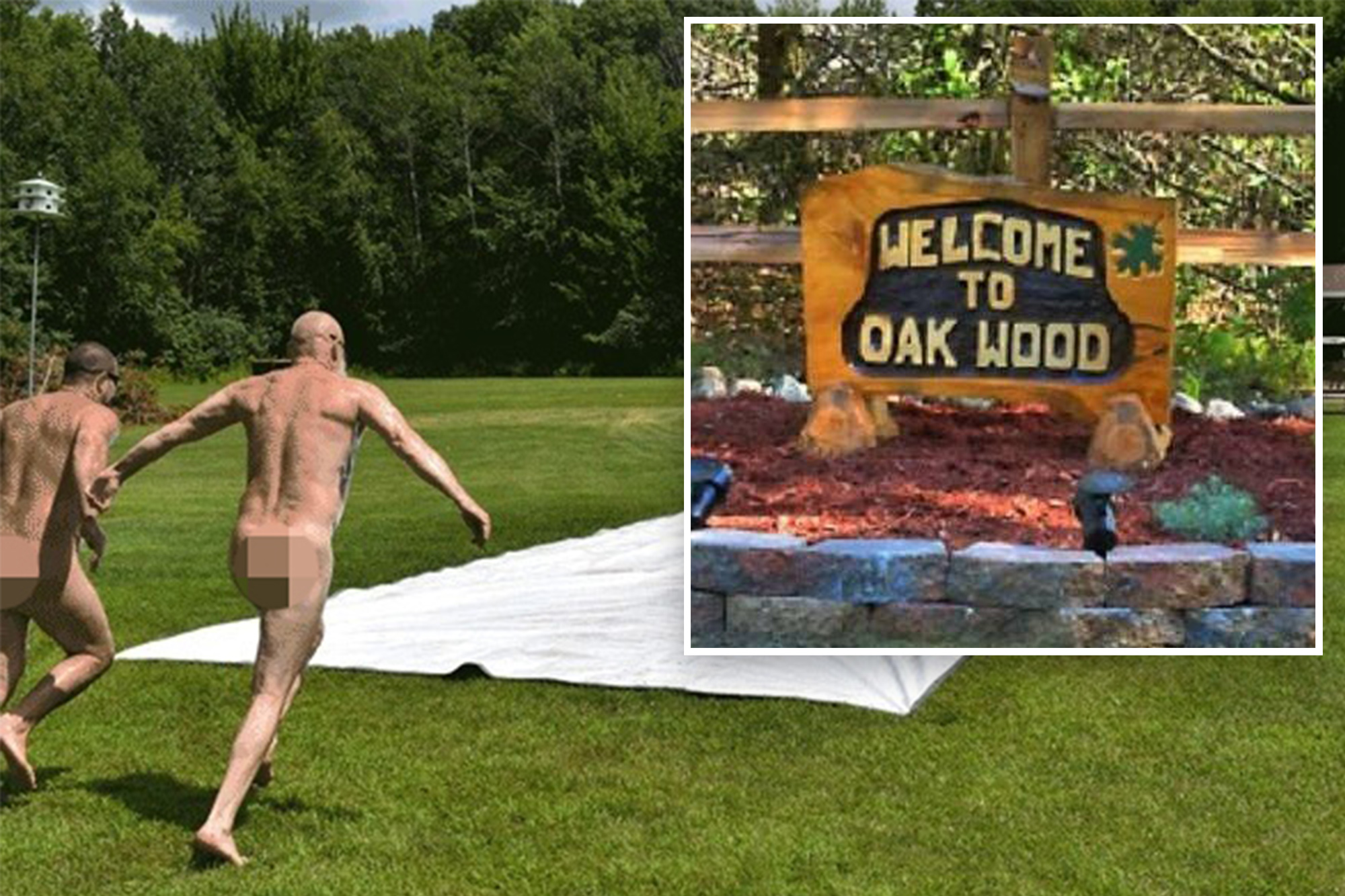 christian brescia like nudist colony porn photo ahmad el baghdadi recommends nudist colony porn pic