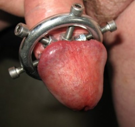 cock torture porn - harley quinn barefoot katten porn