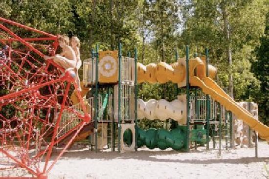 nudist family fun - nude diving sexy missy peregrym