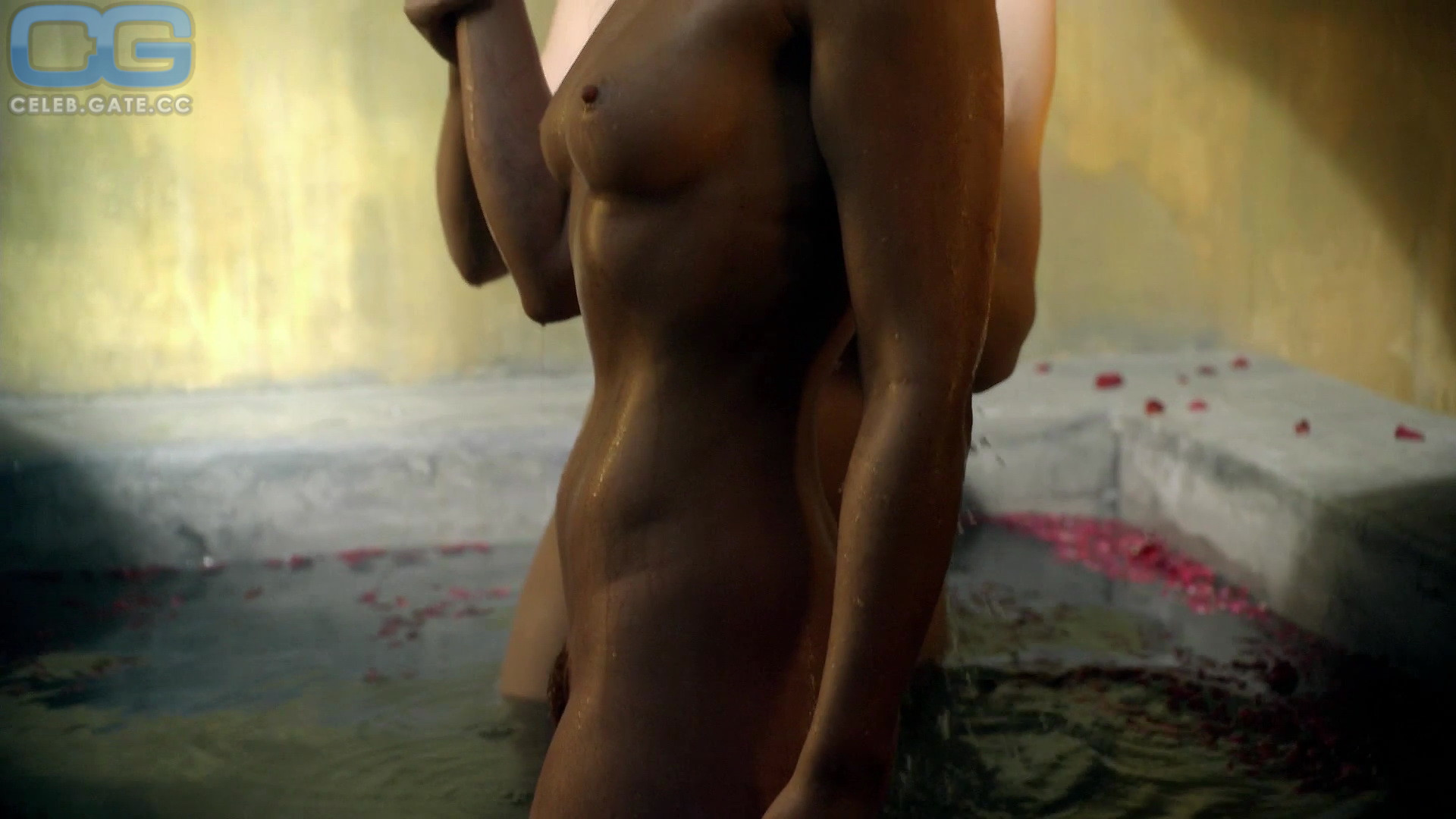 bilal bahadur recommends anne hutchison nude pic