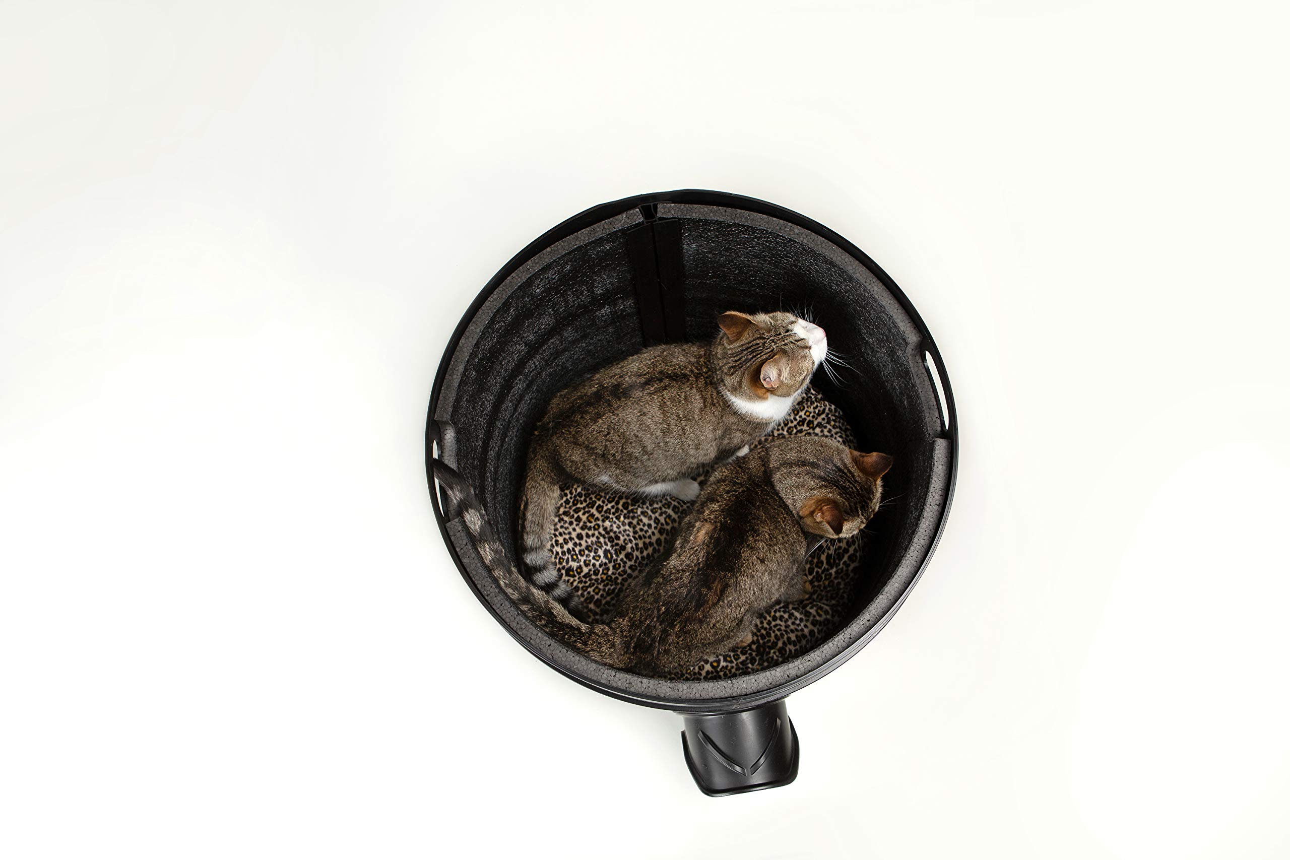 anna beth sawyer recommends Tube Kitty Com