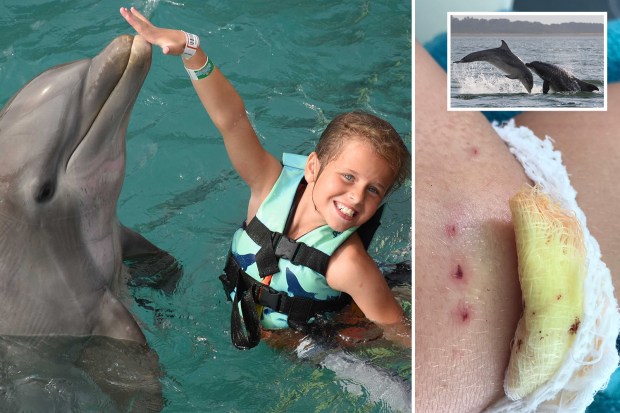 Best of Dolphin and human porn
