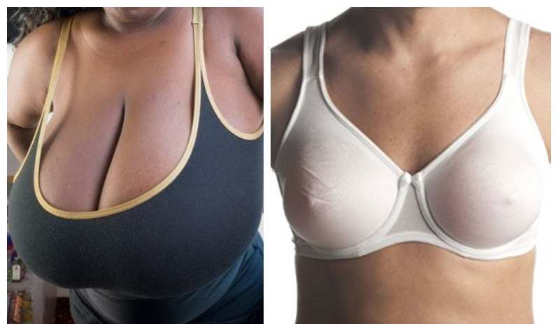 diane sampson recommends tiny boobs giant tits angelica kim add tiny boobs giant tits photo
