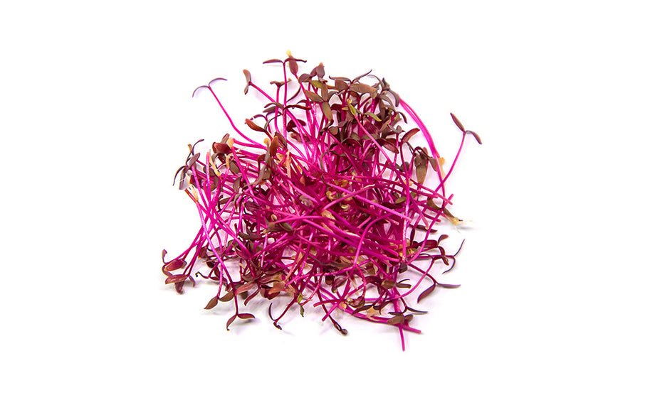 alan michie like amaranth naked photo arif ar rasyid recommends amaranth naked pic
