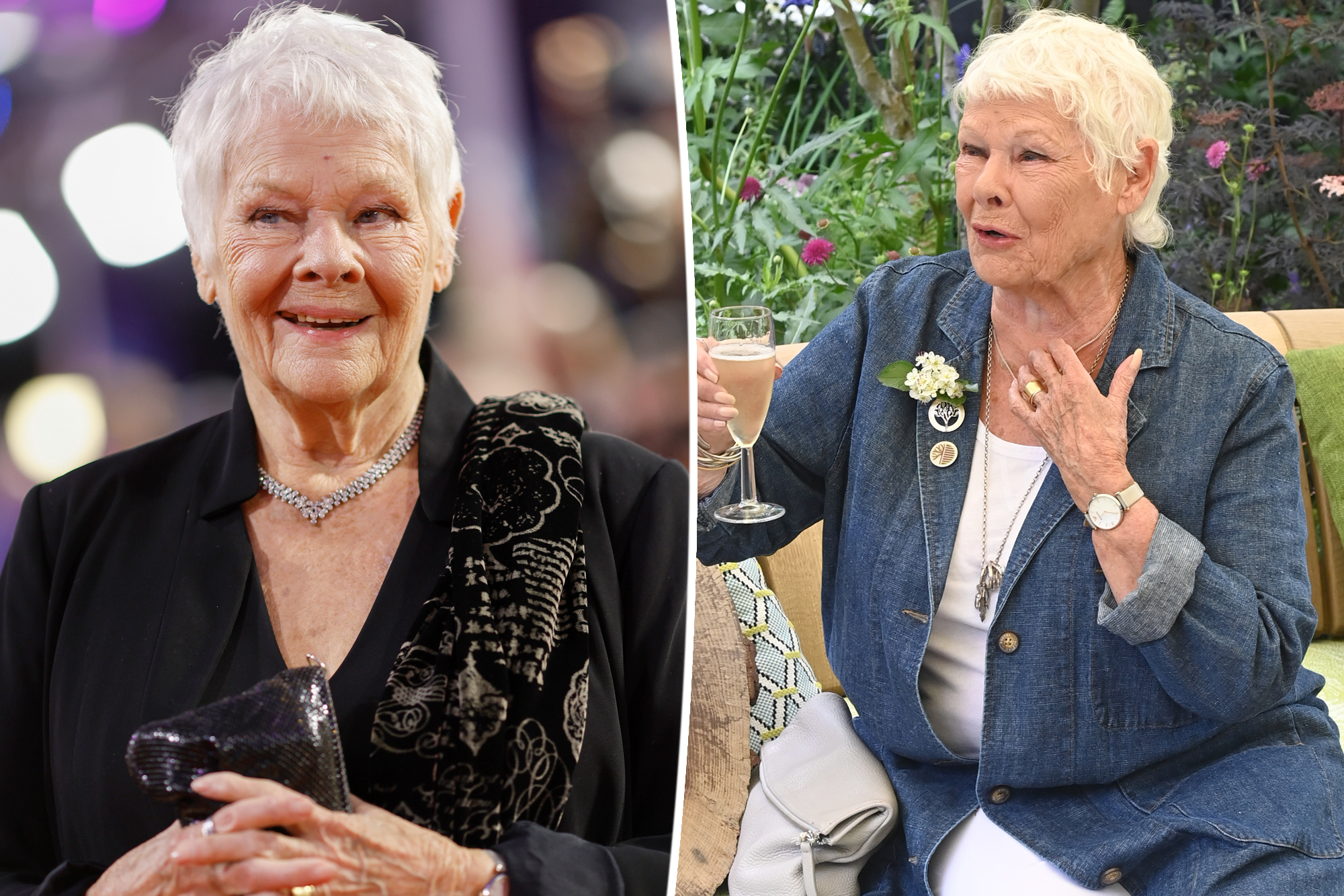 barbara pollina like judi dench nude photo annika reyes recommends judi dench nude pic