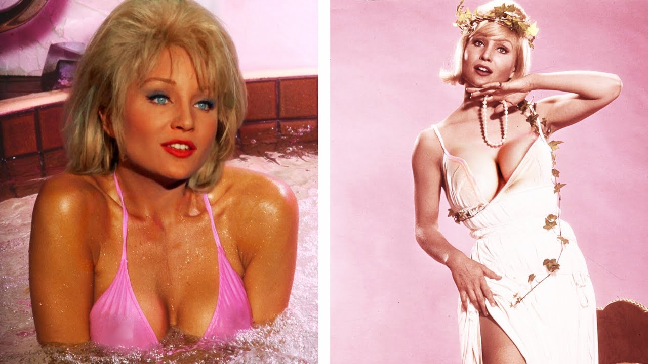 Top pics of amal albakri's XXX archive ahmed tosson add photo