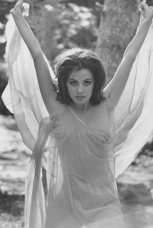 denise nadal recommends barbara parkins nude dee groove add barbara parkins nude photo