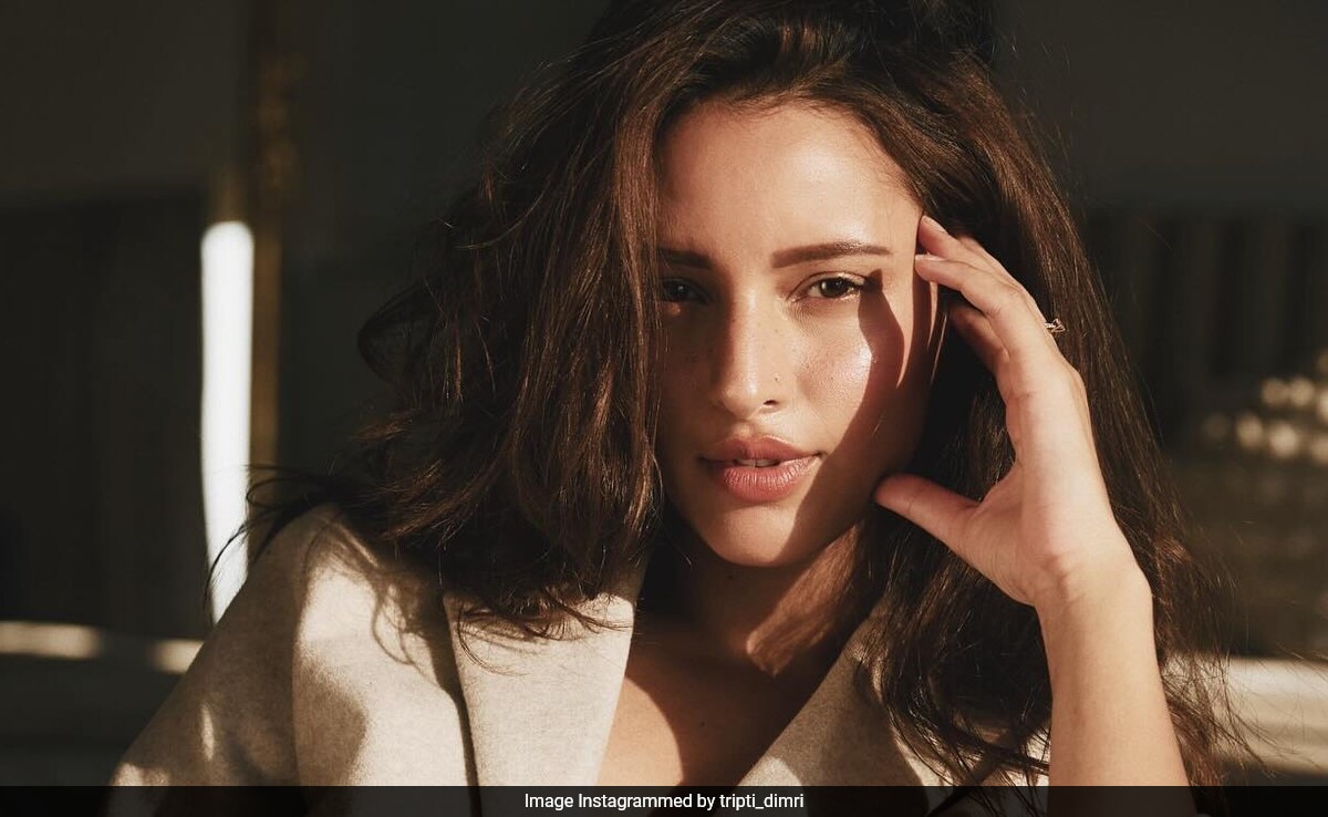 corey hunley recommends gal gadot sexy video chiorean alina add gal gadot sexy video photo