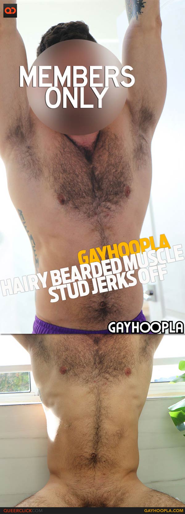 catrina chapman recommends Muscle Stud Jerks Off