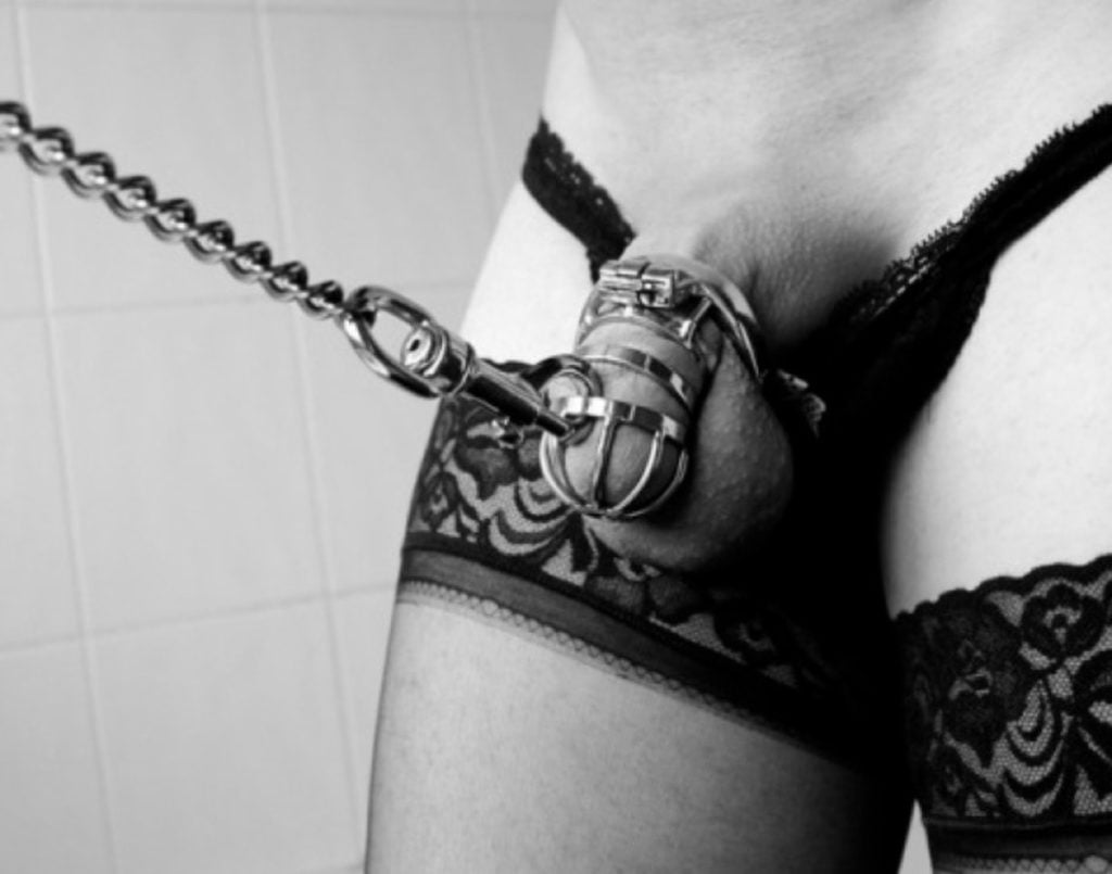 Best of Femdom control