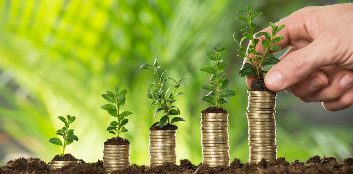 angela thornley recommends assumi needs money pic
