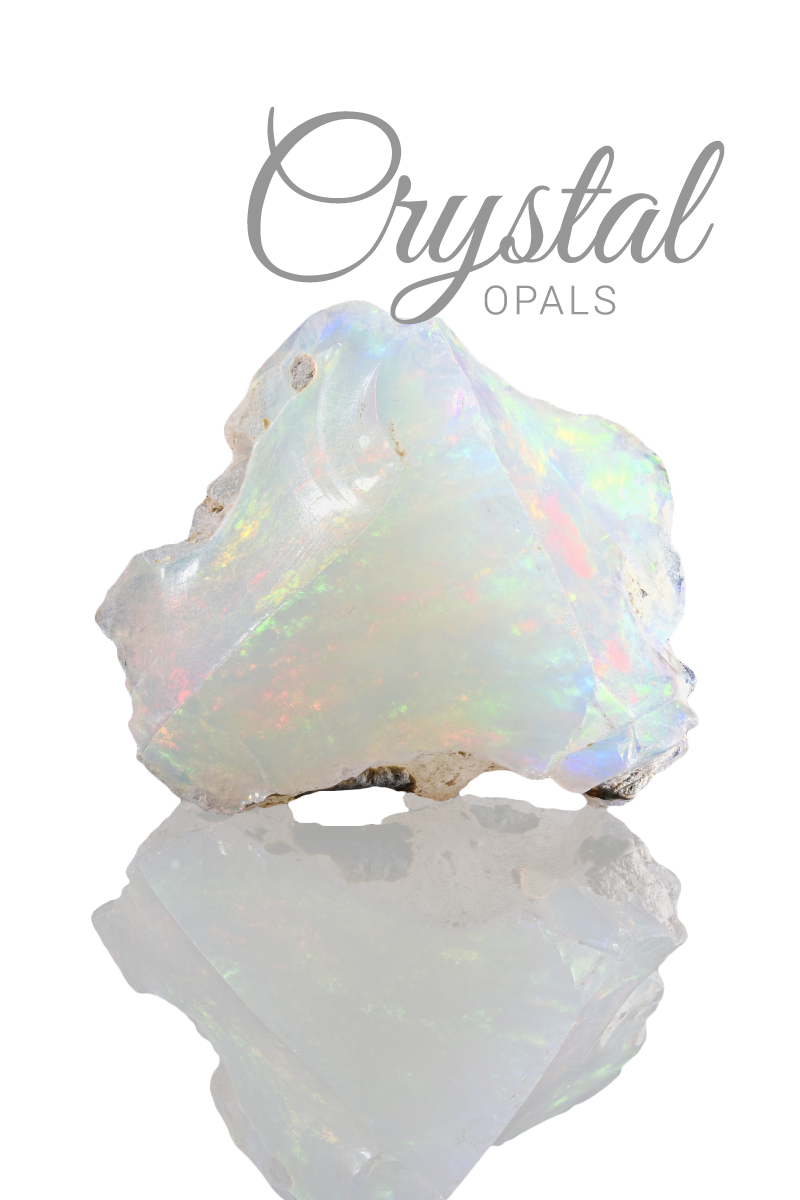 ashleigh allard like crista more photo alyssa renee recommends crista more pic
