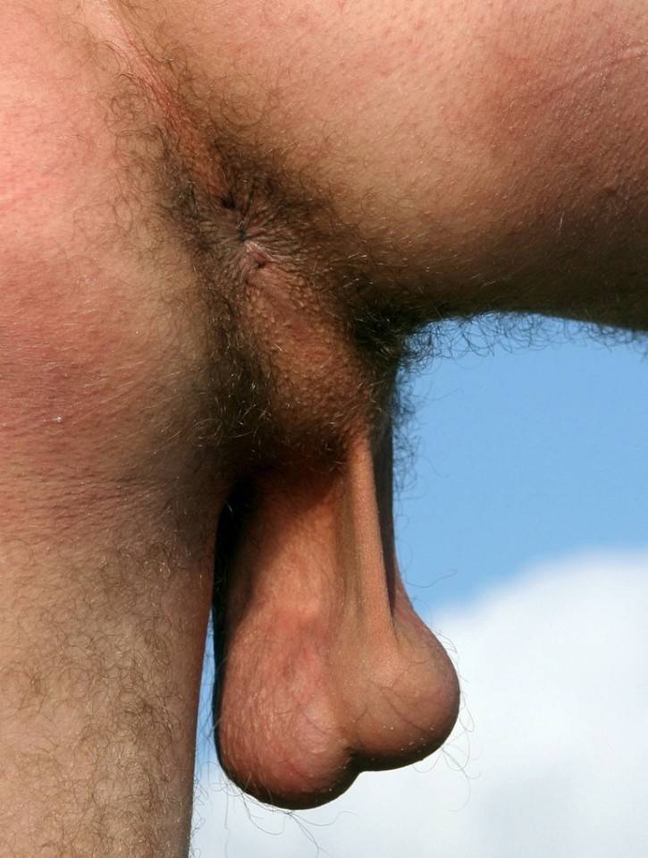 naked hairy balls - vivian nixon movies and tv shows paula patton titties